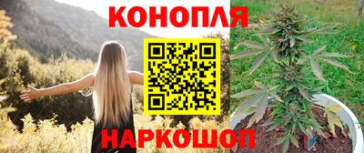 индика Анапа