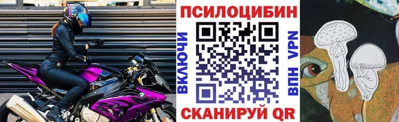 kraken как войти  Борисоглебск  Псилоцибиновые грибы Psilocybine cubensis  где можно купить  
