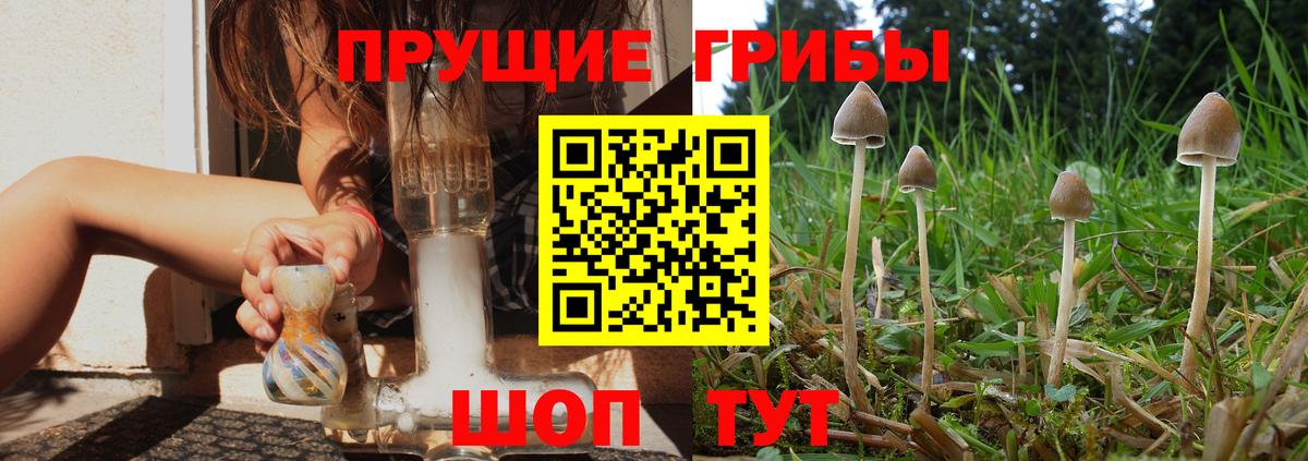 Борисоглебск  купить наркотик  Вход с VPN  Галлюциногенные грибы мицелий 