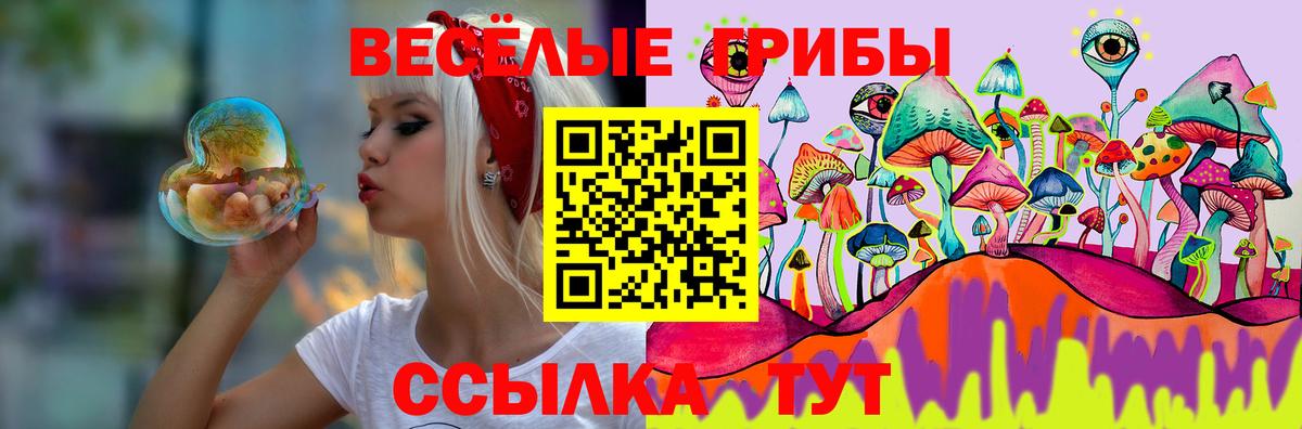 Галлюциногенные грибы GOLDEN TEACHER Борисоглебск